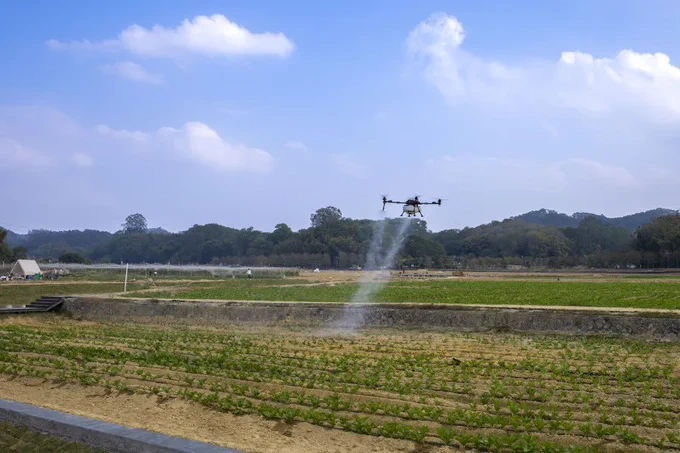 Image from Meta Guangdong (@MetaGuangdong)
