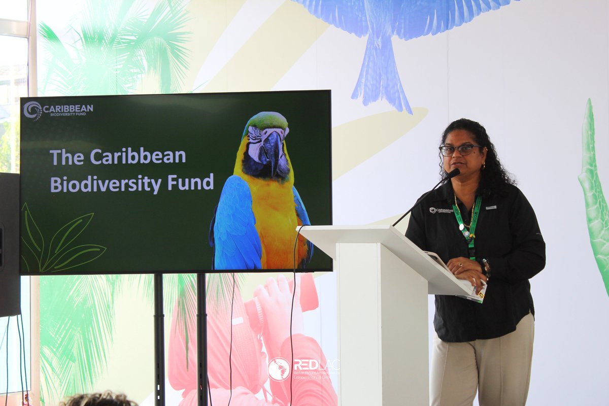RedLAC1's tweet photo. 🌿 At #COP17, Ulrike Krauss, Hariliva Rasoanarivo, Thérèse Tarde and Karen McDonald Gayle explored how community leadership, sustainable financing and local solutions strengthen climate resilience across the Caribbean and Madagascar. @caribbiofund 

#RedLAC #EnvironmentalFunds https://t.co/Cvp6CsmwWo