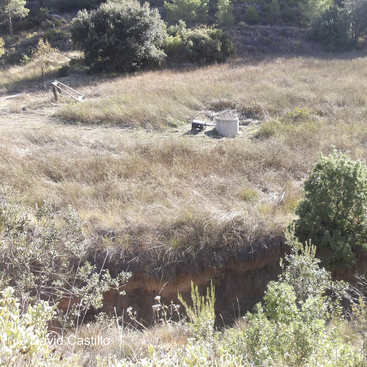 DavidCastilloBe's tweet photo. Pozos ilegales en Valderrobres, mis «vecinos» holandeses haciendo cosas.
Pozo Barranco de la Magdalena,  en zona de policia de cauces.

@CH_Ebro https://t.co/FztUiulmDM