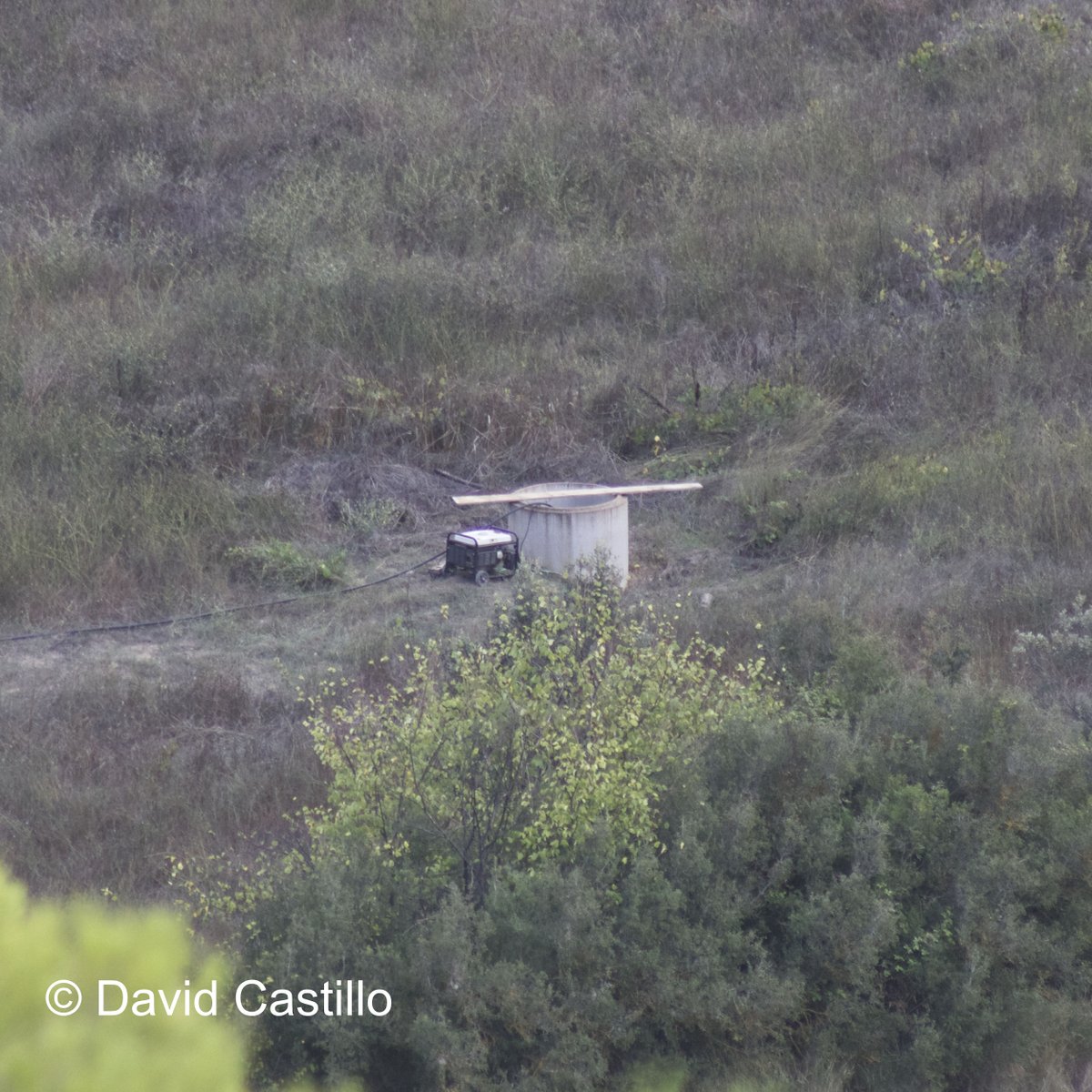 DavidCastilloBe's tweet photo. Pozos ilegales en Valderrobres, mis «vecinos» holandeses haciendo cosas.
Pozo Barranco de la Magdalena,  en zona de policia de cauces.

@CH_Ebro https://t.co/FztUiulmDM