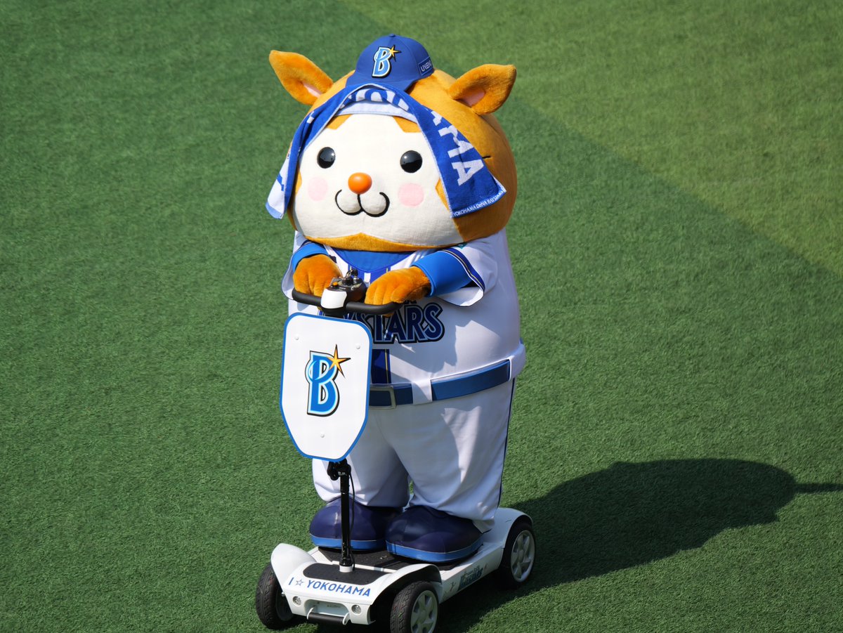 katsudon_bayfun's tweet photo. #スターマンかわいい選手権 https://t.co/lIKuogu5rl