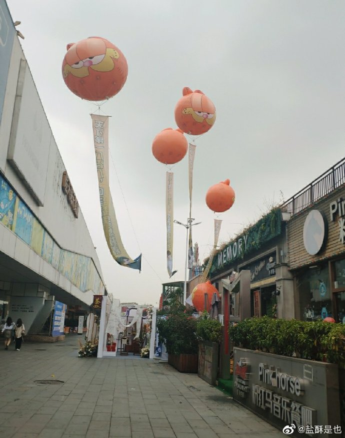 miki_usg_0_2's tweet photo. [勒酥刹党のメンバー、今日も活動中！]， https://t.co/VL9sYiAGvX