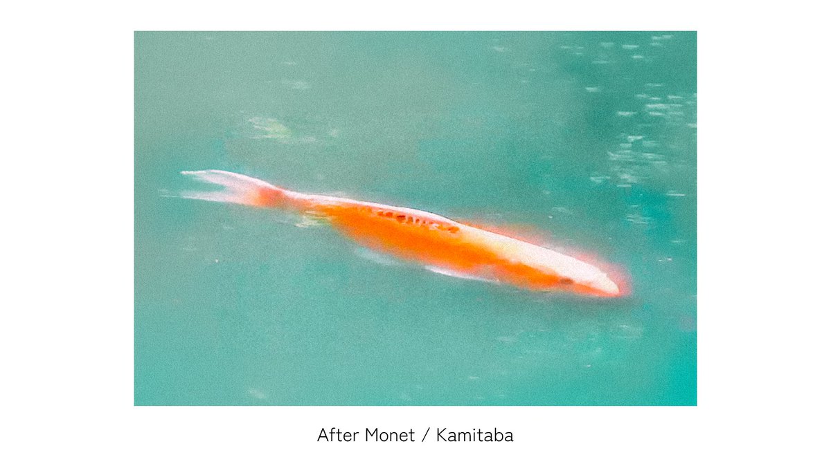 kamitabaphoto's tweet photo. 【実績解除】
BIFA（ブダペスト国際写真賞）にて、どこの家庭にもある「Panasonicのドアホン」で撮影した作品がHonorable Mentionを受賞しました。受賞部門は「Fine Art / Special Effects」です。世界初、ドアホンが世界へ羽ばたきました。

もちろん写真機として使いやすいようにドアホンにフルアーマー改造を施しているものの、親機・子機共に元のパーツをほぼそのまま（99%）使っています。

誤解されがちですが、これは決してふざけているわけではなく独自の「筆致」を求めた結果です。僕の独りよがりではなく、この作品が第三者にアートとして認められたのは大きいですね。

次はこういった写真をプリントとして手に取って頂けるよう（要は欲しがって頂けるように）、私的言語の共有を続けていきます。

・Camera: Panasonic VL-SVD505KF
・Lens: Carl Zeiss Jena Tessar 50mm F2.8
・Image title: After Monet
