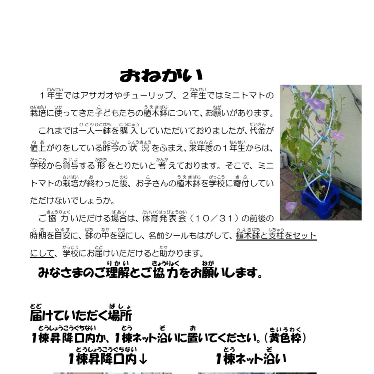 eeeeeureppe's tweet photo. 貧しすぎる…… https://t.co/YLWqYDshJb