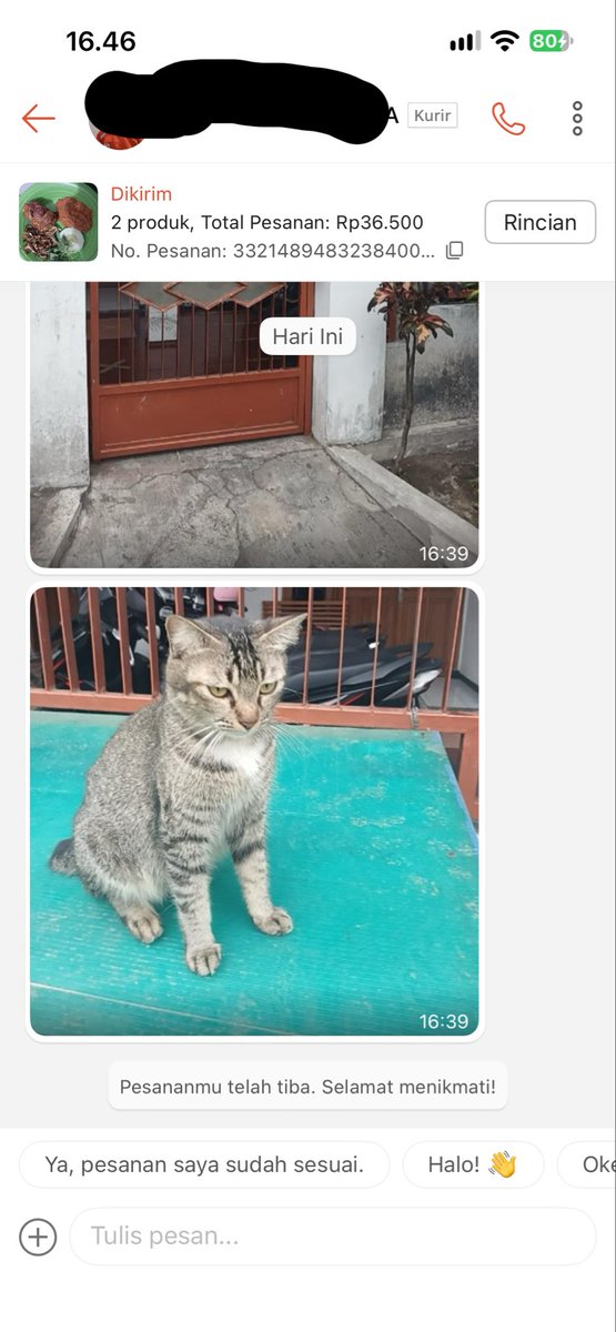 iyaddeh's tweet photo. ngetawain kucing kosku 5 menit gara" difoto sama driver https://t.co/76vp7twFyC