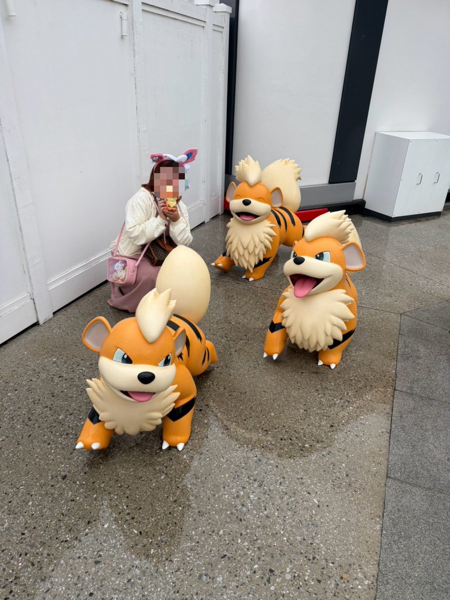 achan_poke_'s tweet photo. この度10年ぶりにポケモンにハマり、ポケモン垢作りました！
きっかけは先週福井に旅行に行った際、当時の手持ちポケモンであったカイリューに再び巡り会えたことです！
再度ポケモン魂に火がつき、この1週間でポケセン、ポケパークにも行きました！
ぜひ仲良くしていただけたら嬉しいです！
#ポケモン https://t.co/LKAzDrVBYr