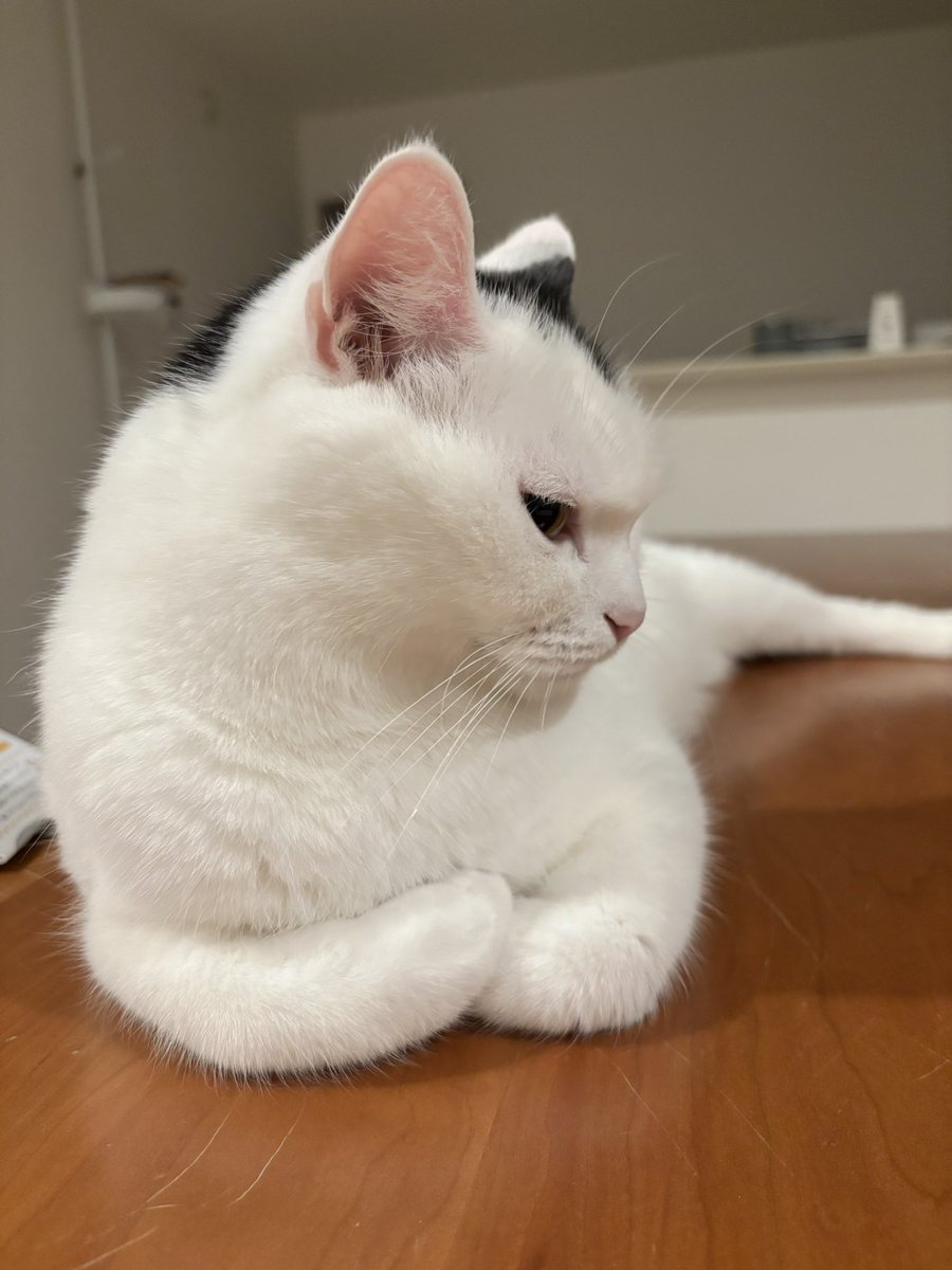 takeru0321neko's tweet photo. 道が混んでて帰りが遅くなりました https://t.co/frqkA2yOru