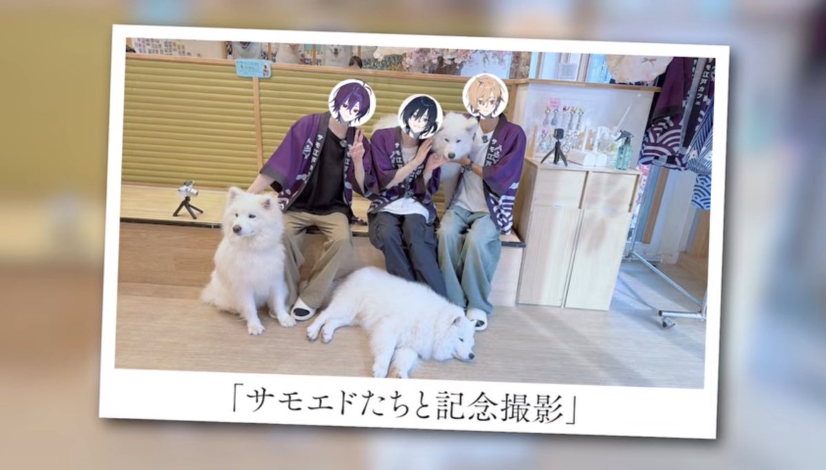 tubaki_yurei's tweet photo. 原宿vlog投稿されました！！

モコモコサモエド可愛いし、ガチャガチャも買い物も超楽しかった！
モコモコサモエド可愛いし！

るいもはるともテンション上がっててめっちゃ可愛いよね！サモエドの他に二匹のでっかいわんこいたのかな

みんなの感想も教えてね https://t.co/qLMNGAjc0L