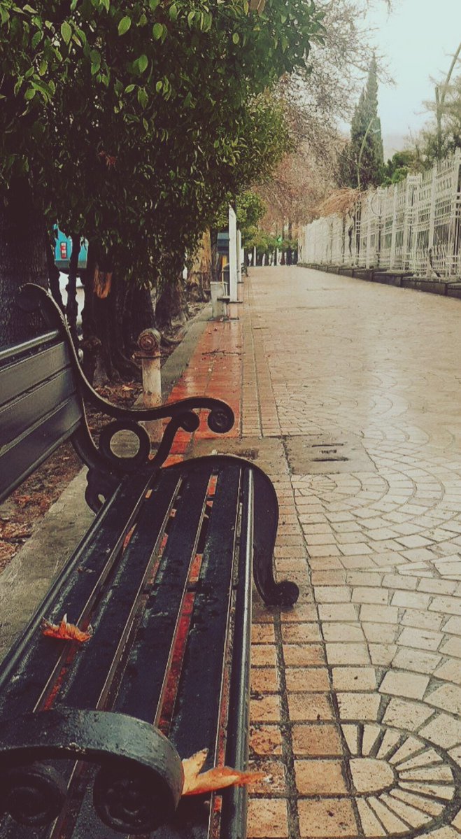 sefidbar_fi's tweet photo. گویا دلخوشی های کوچک ما هم دیدن شیراز  غرق در نم های باران است https://t.co/8N9Nt4sFaU