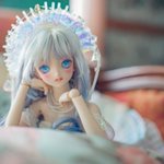 Photo by 橘ゆう (@yu_Scircus)