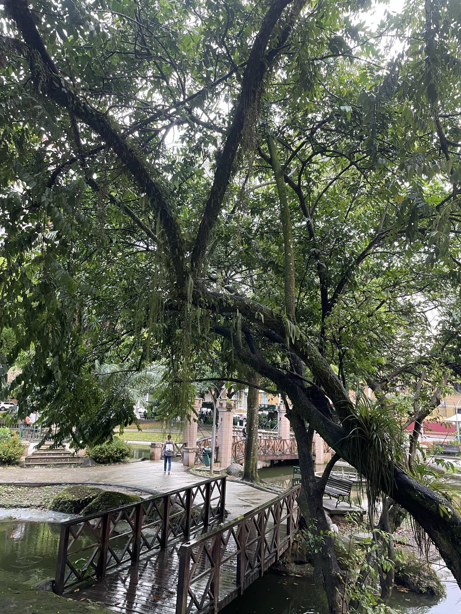 cellardoordark's tweet photo. sinto um amor inexplicável por belem do Pará, eu simplesmente amo viver aqui amo pedalar por aqui, amo nosso hino, amo nossos lugares, nossas ruas, eu te amo belem quero nascer aqui em todas minhas vidas https://t.co/ireYzI3cyA