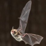 Photo by Greater Lincolnshire Nature Partnership (@GLNPnature)