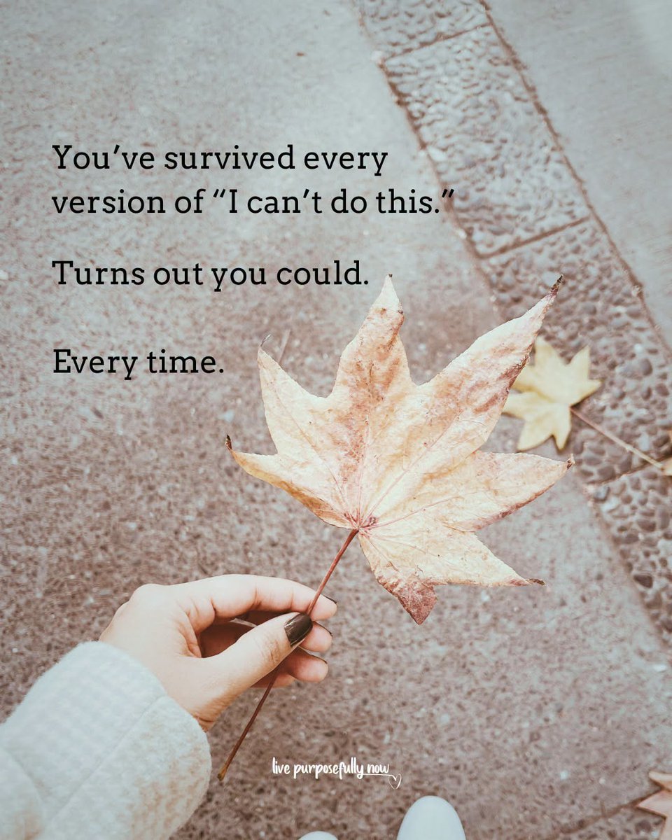 LifeWithJohn's tweet photo. You're survived every version of "I can do this."
Turns out you could.
Every time! ~ Now this is a reminder worth holding on to!
💞 https://t.co/Ost2c2IDkF
