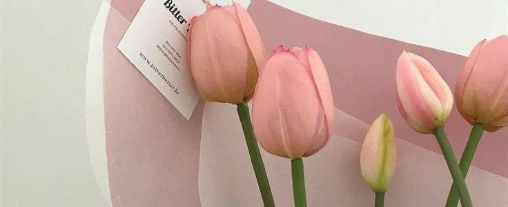 barrleu's tweet photo. test #zonauang https://t.co/wsWCFdkcCl