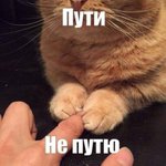 Photo by Малая собачка 🤍💙🤍 (@Dimioncheeg)