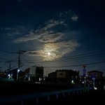Photo by まる助。 (@____mrmi5)