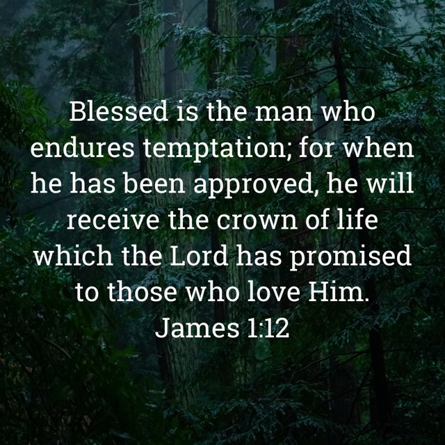 GloryToGod__GTG's tweet photo. https://t.co/JHbVEvhOdF