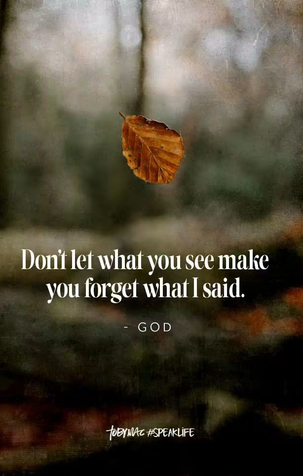 RunWithFaith089's tweet photo. https://t.co/dMETGOh993
