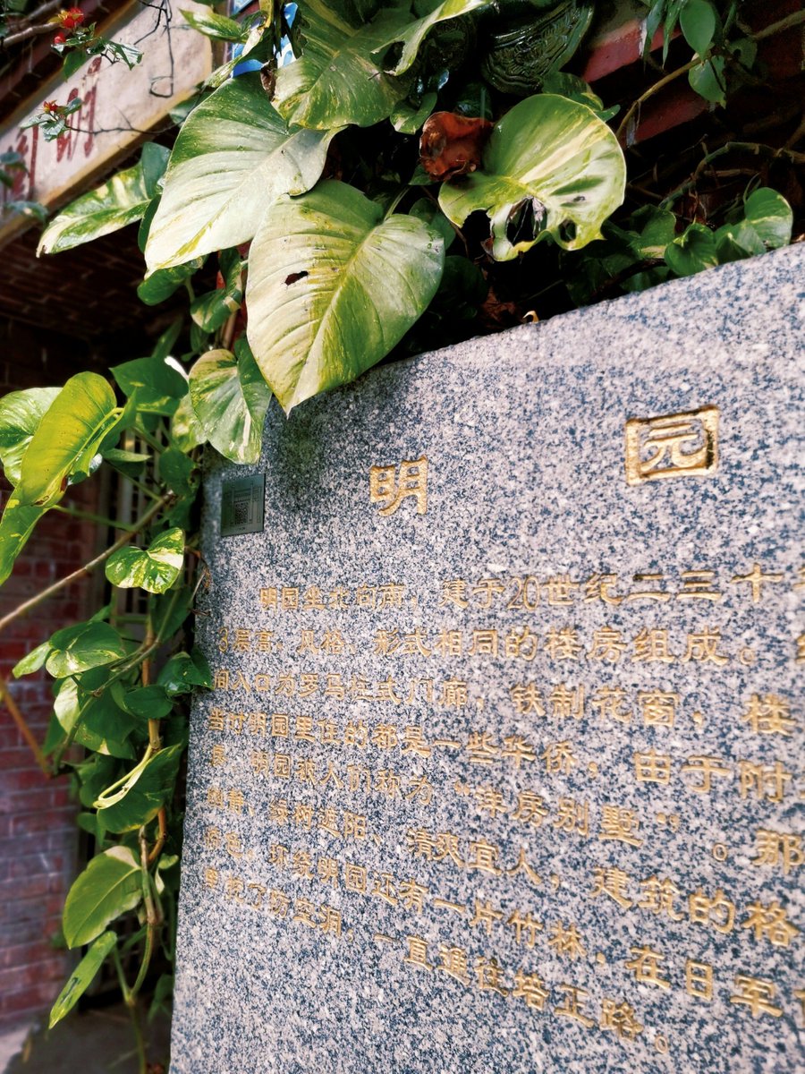 Ru3826315829453's tweet photo. 「妓诔琶肆に出会えた奇跡、今日も心に咲く」 https://t.co/qrSnP79ERK