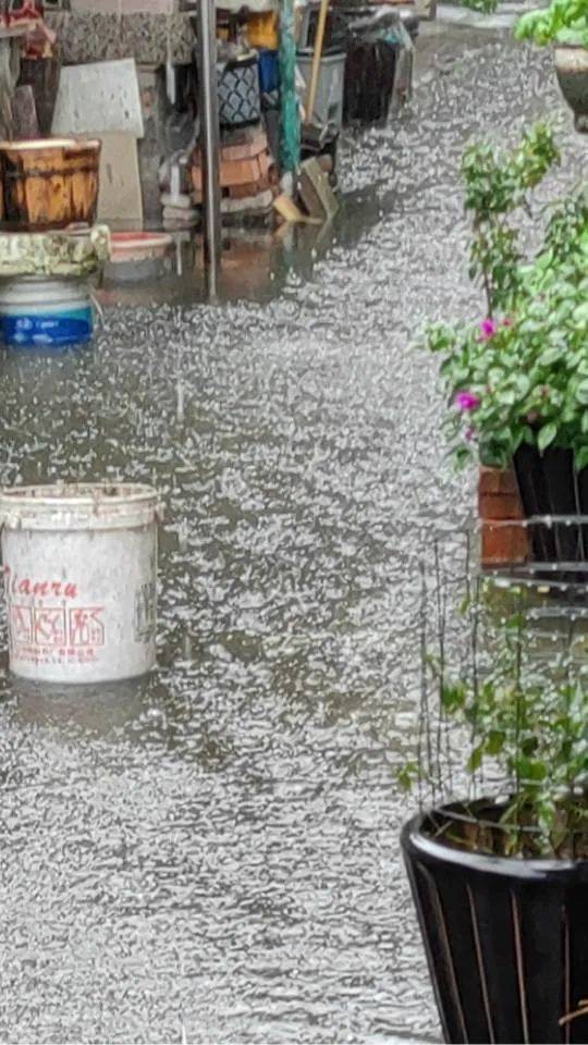 lemon_waaai's tweet photo. 雨に打たれた惨めな涌き水が、地面をつたう。 https://t.co/BwrJvrfh5A