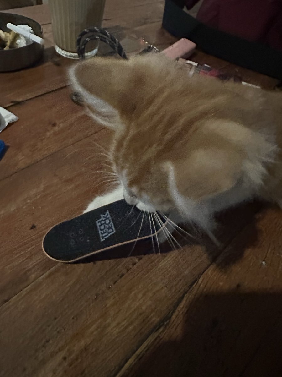L0weryourhead's tweet photo. cuking sk8er https://t.co/45e0aYll1N