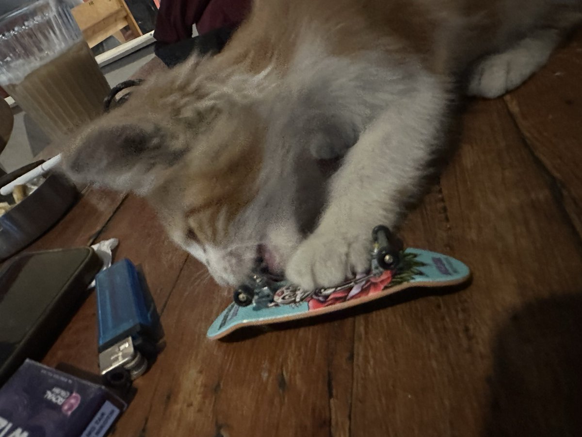 L0weryourhead's tweet photo. cuking sk8er https://t.co/45e0aYll1N