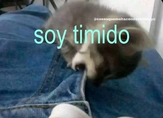 MaxMay8448's tweet photo. A veces se me olvida que soy tímido JAJA https://t.co/e3lHlZLHBT