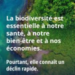 Photo by OCDE (@OCDE_fr)