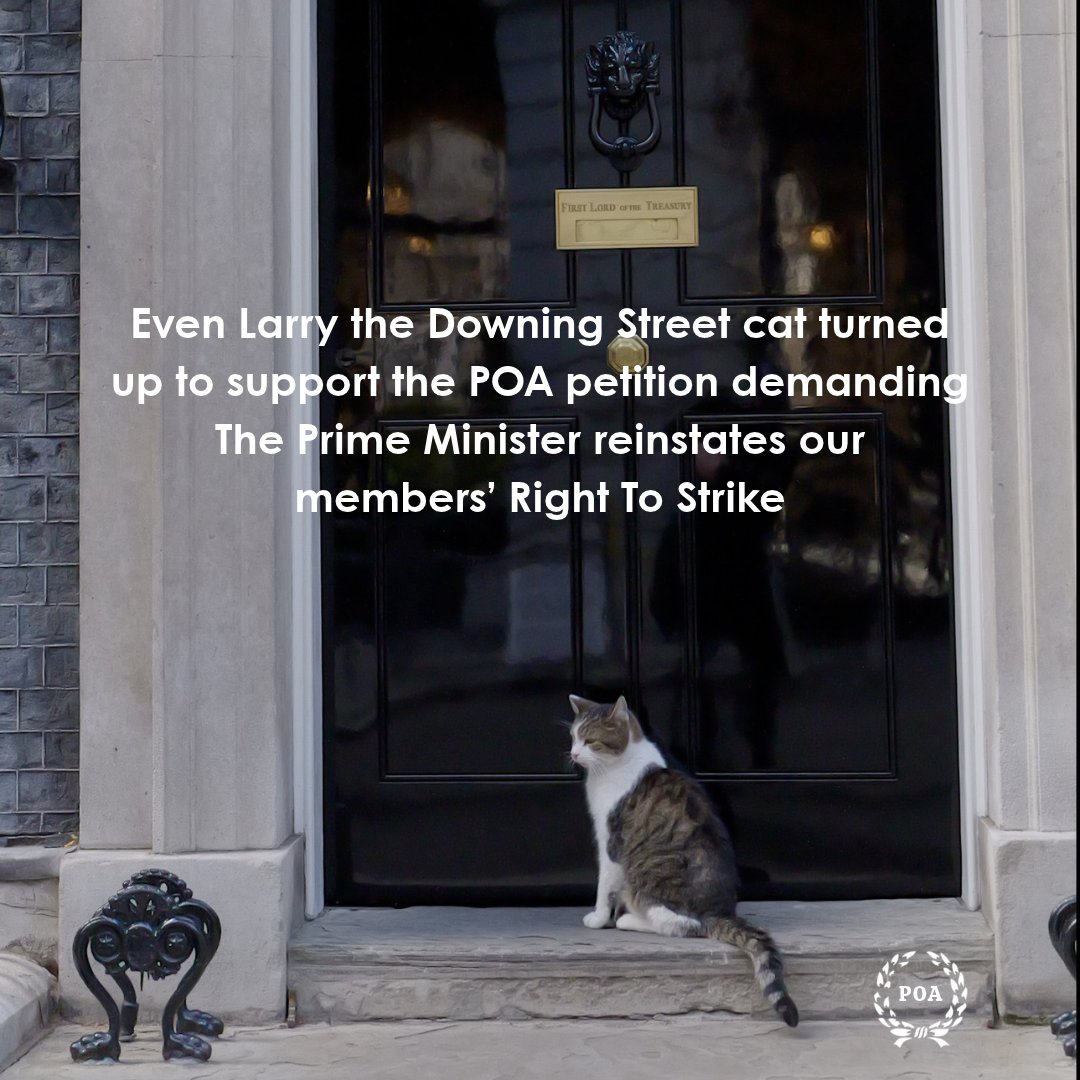 POAUnion's tweet photo. Even Larry The Cat turned up to support the POA campaign to reinstate Prison Officers' Right To Strike https://t.co/EGkRKzHrpk