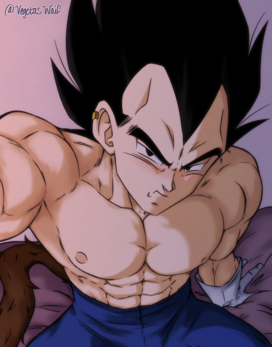 VegetasWaif's tweet photo. 📸 "Satisfied?"
#Vegeta #VegetasWaif https://t.co/8nnguoBK1W