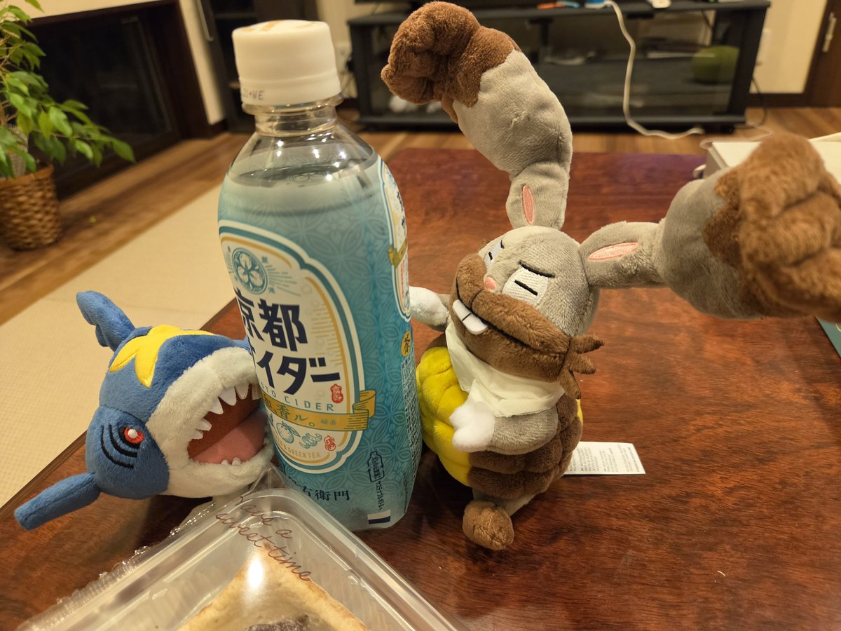 pueo1212's tweet photo. 京都サイダー！！！ https://t.co/DLWcjlMUBl