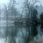 Photo by Jacted (@Jacted7)