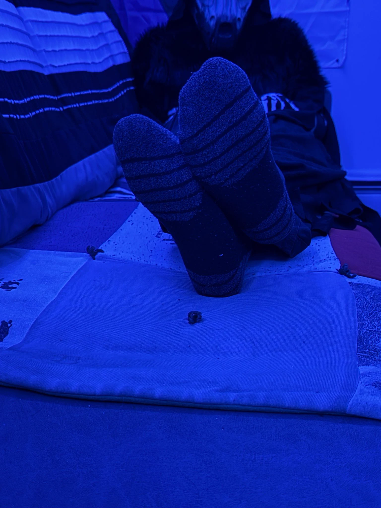 Puppy paws on X: "Bonus pics from messing with poses and lighting" / X