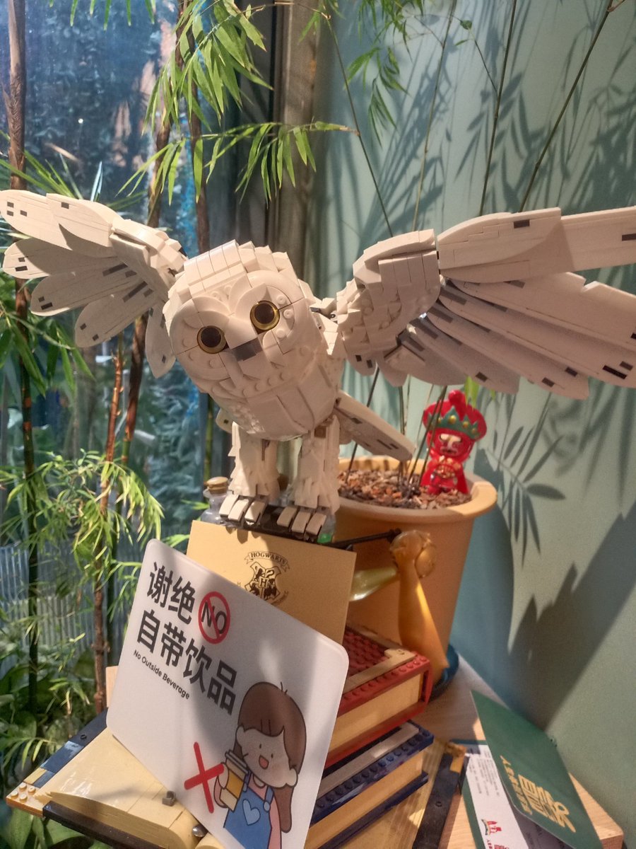perika0302's tweet photo. 「日々の小さな幸せに、時折【诒侠兔谟涌】のような不思議な輝きを感じる」， https://t.co/pDQLW5Sab3