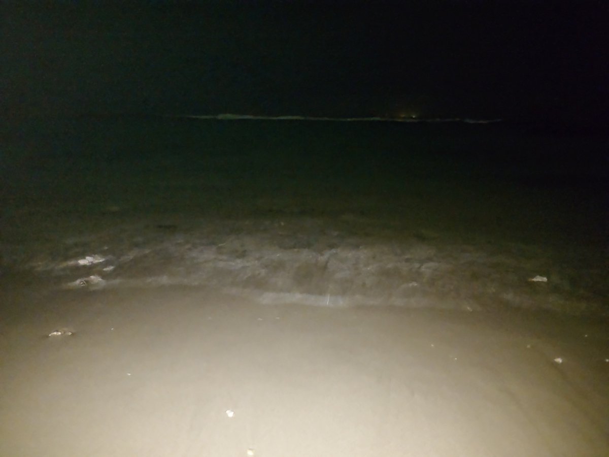 core_8's tweet photo. ��の海、強風で恐怖でした！
癒しどころか、SAN値をゴリゴリに削られることに…！ https://t.co/MONvN44Ke1