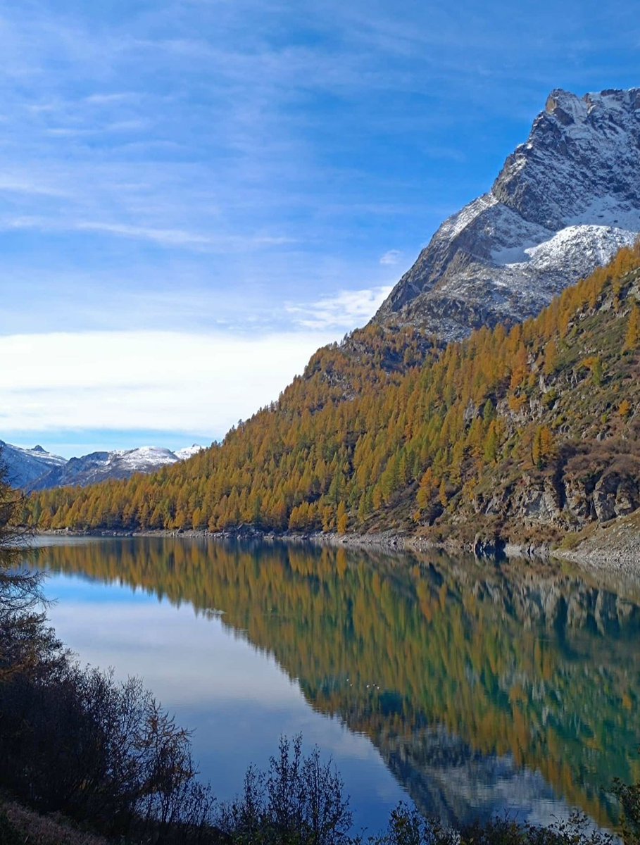 il_nordico's tweet photo. L'autunno è un arrivederci che lascia dentro i ricordi più belli. 😍🍂✨️ https://t.co/Tl8u1aDJUX