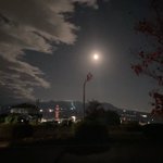 Photo by いけ ねこむすめ道草日記 (@ikenokappa)