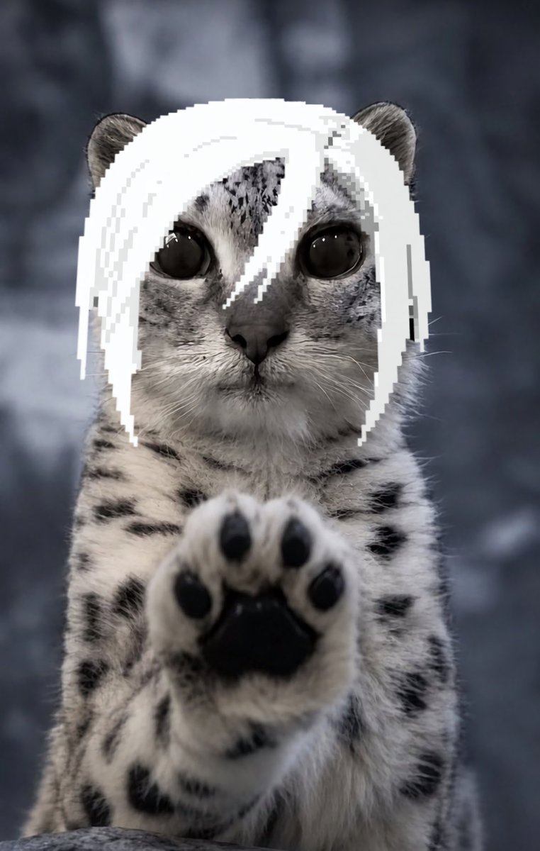wh0_yuta's tweet photo. (You're right.)
*paws at you* remember our promise
*paws at you* remember our promise
*paws at you* remember our promise
*paws at you* remember our promise
*paws at you* remember our promise https://t.co/gcQVt1kCqm
