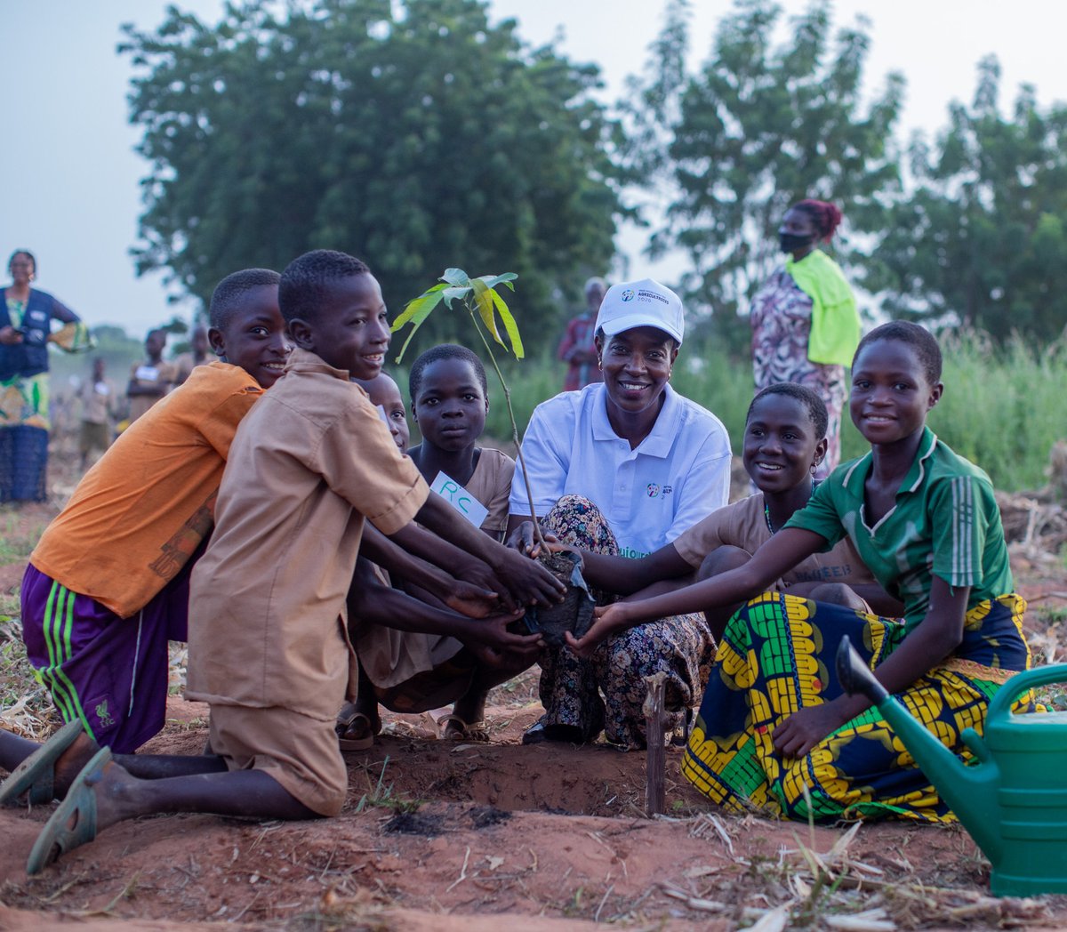 UN_Togo's tweet photo. À l’EPP de Djangou, dans la région des Savanes, à l’occasion de #UNDay 2026, le leadership des @UN_Togo, @CoumbaDSow et les chefs d’agences, a participé à une plantation d’arbres fruitiers avec les élèves et visité les cantines scolaires soutenues par le PAM. #ODD2 #ODD13 #UN81 https://t.co/gmafCE2Nzt