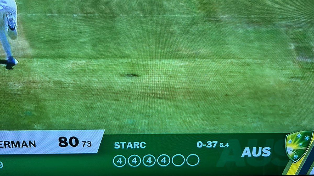 SpringbokRWC's tweet photo. Not too flash from the world’s number one ranked Test bowler. DIY shops in Cape Town will be scrabbling to hike product prices right about now. #RSAvAUS https://t.co/WJoIh4blFU