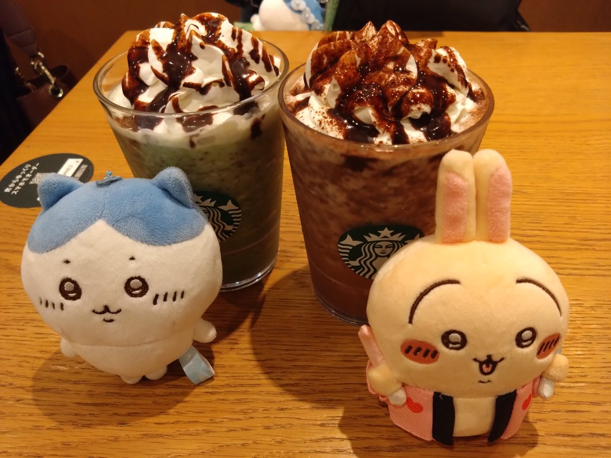 K2a_045_z's tweet photo. スタバでぬい活！
猫耳売り切れてた🥺 https://t.co/a4ezkQaoCe