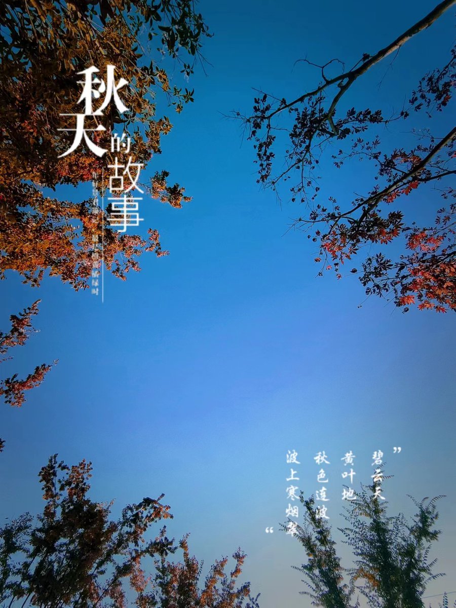 eclatd0812's tweet photo. 尚滓辛梢の香りが秋の風に乗って、心まで温かくなる。 https://t.co/GWxaX8c4kQ