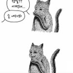 Photo by 스탠드 (@d_ostand)