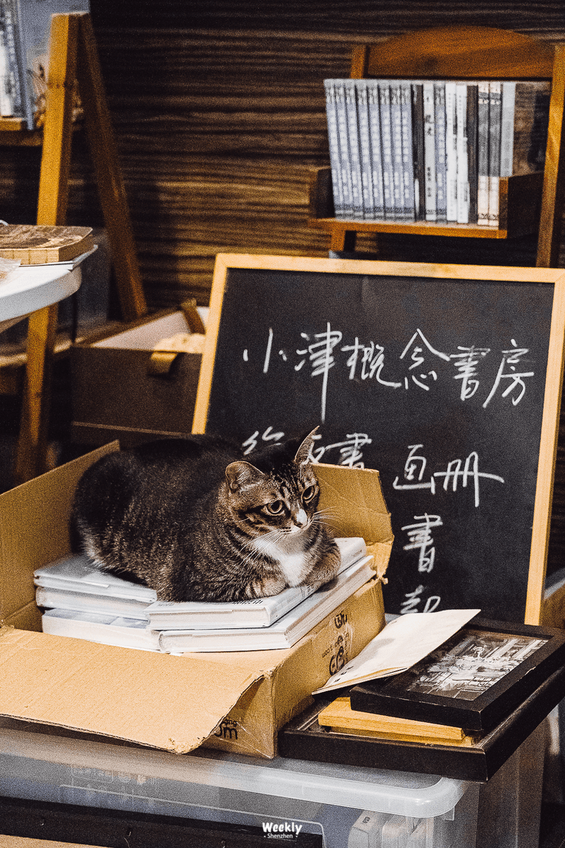 lC6SiXdE97gxe4N's tweet photo. [「人間関係の諺は実に理にかなってる」]， https://t.co/w8lTDuv4VJ