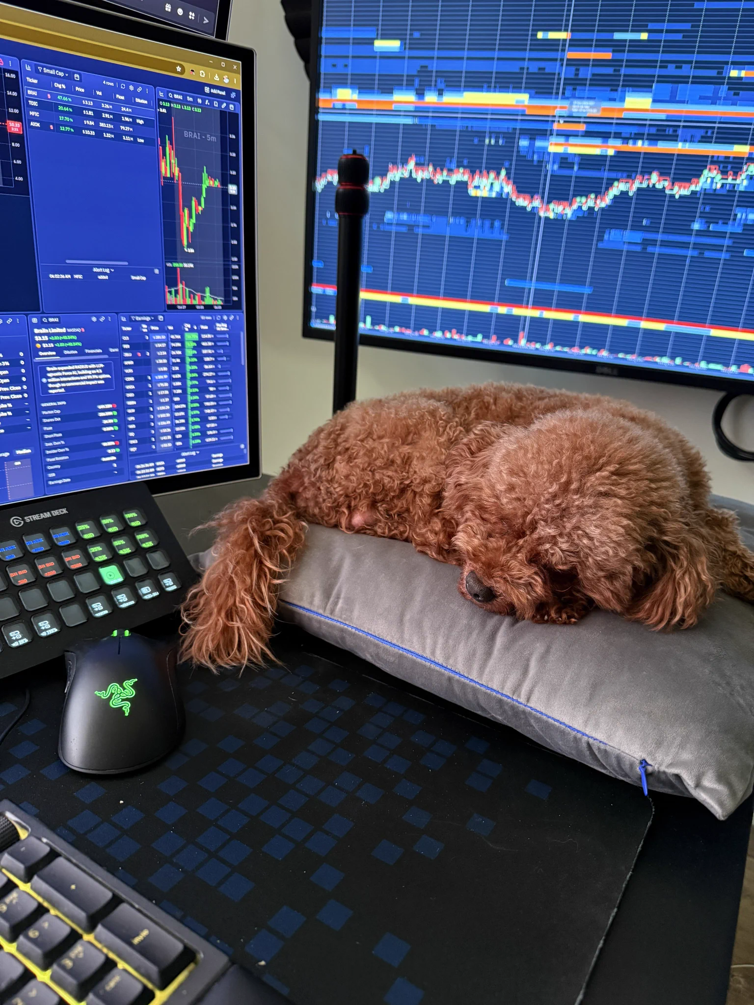 JTrader on X: 