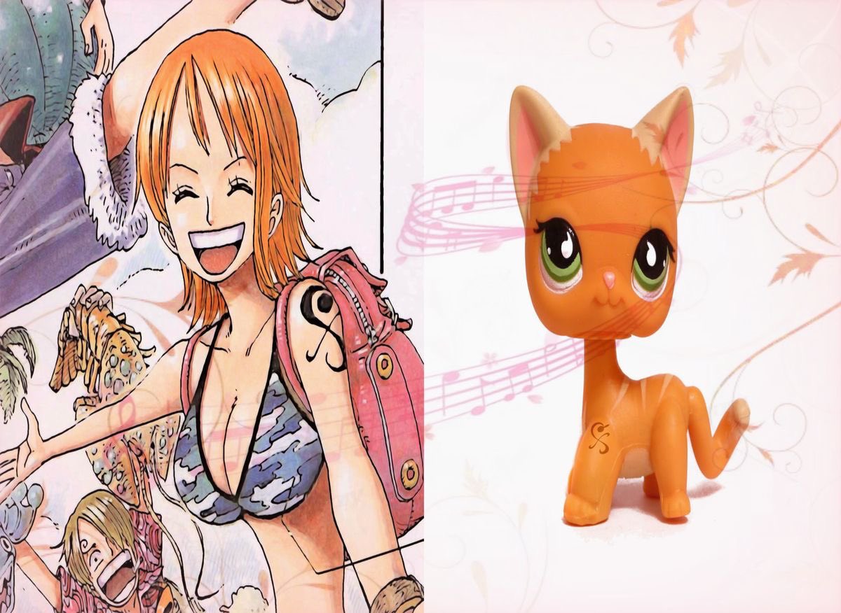 HauntingUrHouse's tweet photo. the straw hats as lps is so cutesy ♡♡ https://t.co/onJIwedXn3
