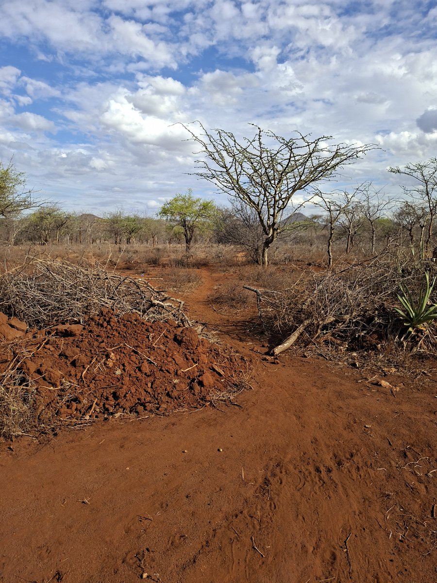 kafangi's tweet photo. Deep inside Kamba land https://t.co/lZJDjIPzsx