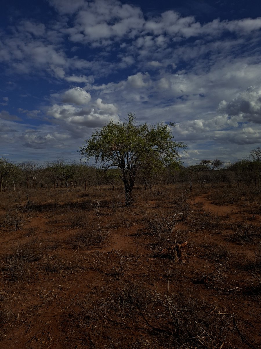 kafangi's tweet photo. Deep inside Kamba land https://t.co/lZJDjIPzsx