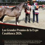Photo by Remates Fernando Zañartu Rozas y Cía. Ltda - CHILE (@fzremates)