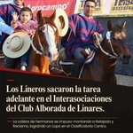Photo by Remates Fernando Zañartu Rozas y Cía. Ltda - CHILE (@fzremates)